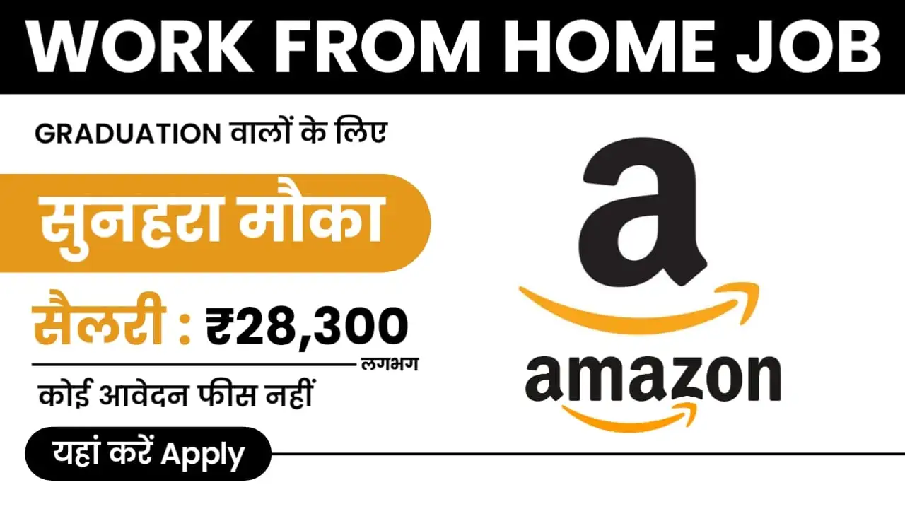 Amazon Work From Home Job